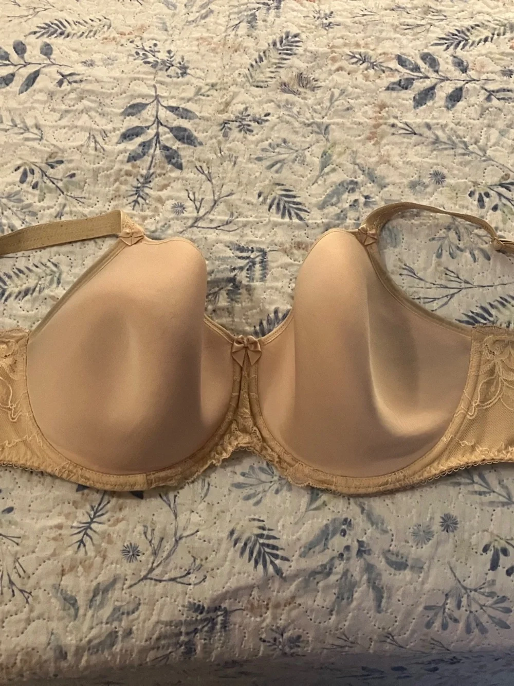 Fantasie Rebecca lace underwire spacer full cup bra nude sand 32GG UK 32J US
